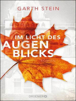 cover image of Im Licht des Augenblicks